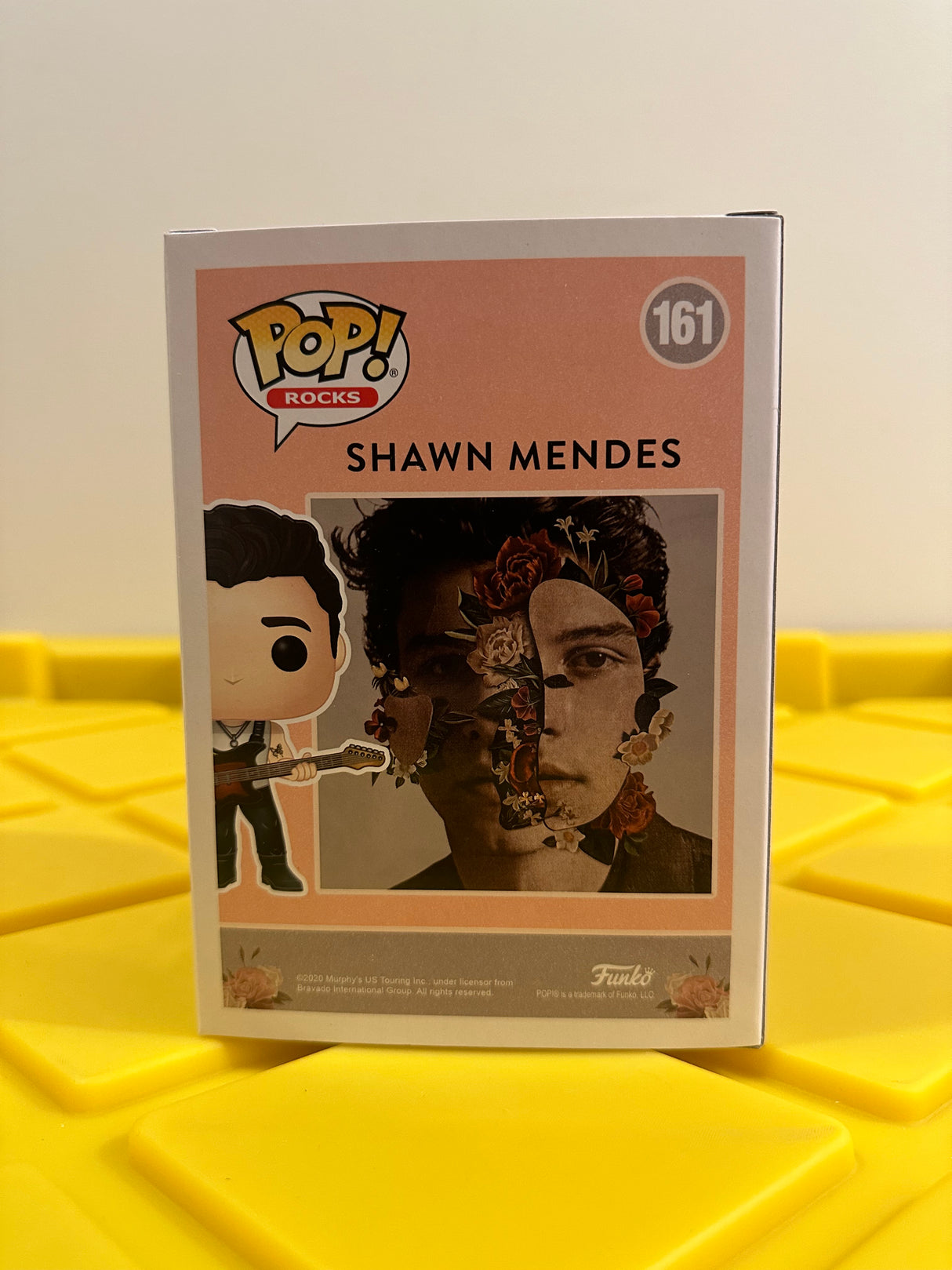 Shawn Mendes