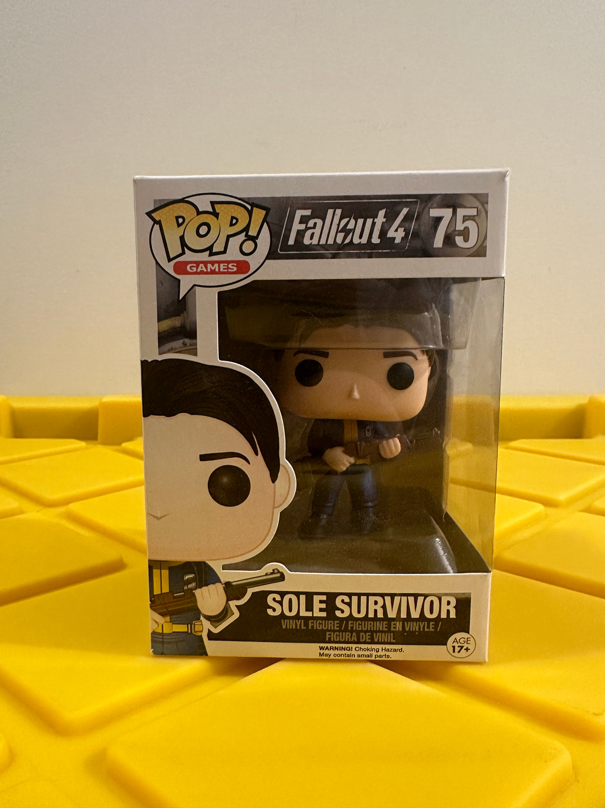 Sole Survivor