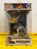 10" Giganotosaurus