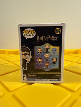 Funko POP! Harry Potter with Hedwig - Limited Edition Walmart Exclusive