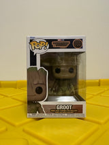Groot