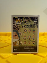 Funko POP! Sleepy