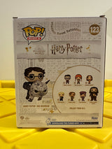 Harry Potter & Buckbeak