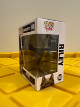Riley