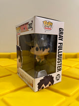 Gray Fullbuster