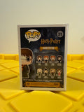 Funko POP! Harry Potter - Limited Edition Hot Topic Exclusive