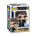Funko POP! Harry Potter with Hedwig - Limited Edition Walmart Exclusive