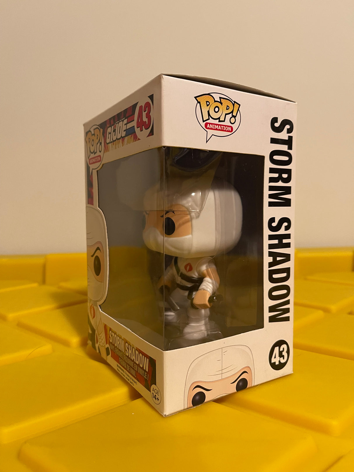 Storm Shadow