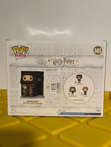 Rubeus Hagrid With The Leaky Cauldron - Limited Edition Special Edition Exclusive