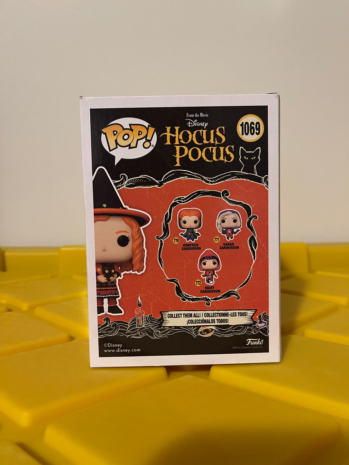 Funko POP! Dani with Binx - Limited Edition Spirit Exclusive