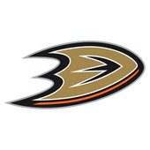 Anaheim Ducks Foam Logo